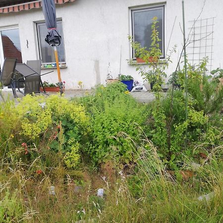 Ferienwohnung Wittenburg Exteriör bild