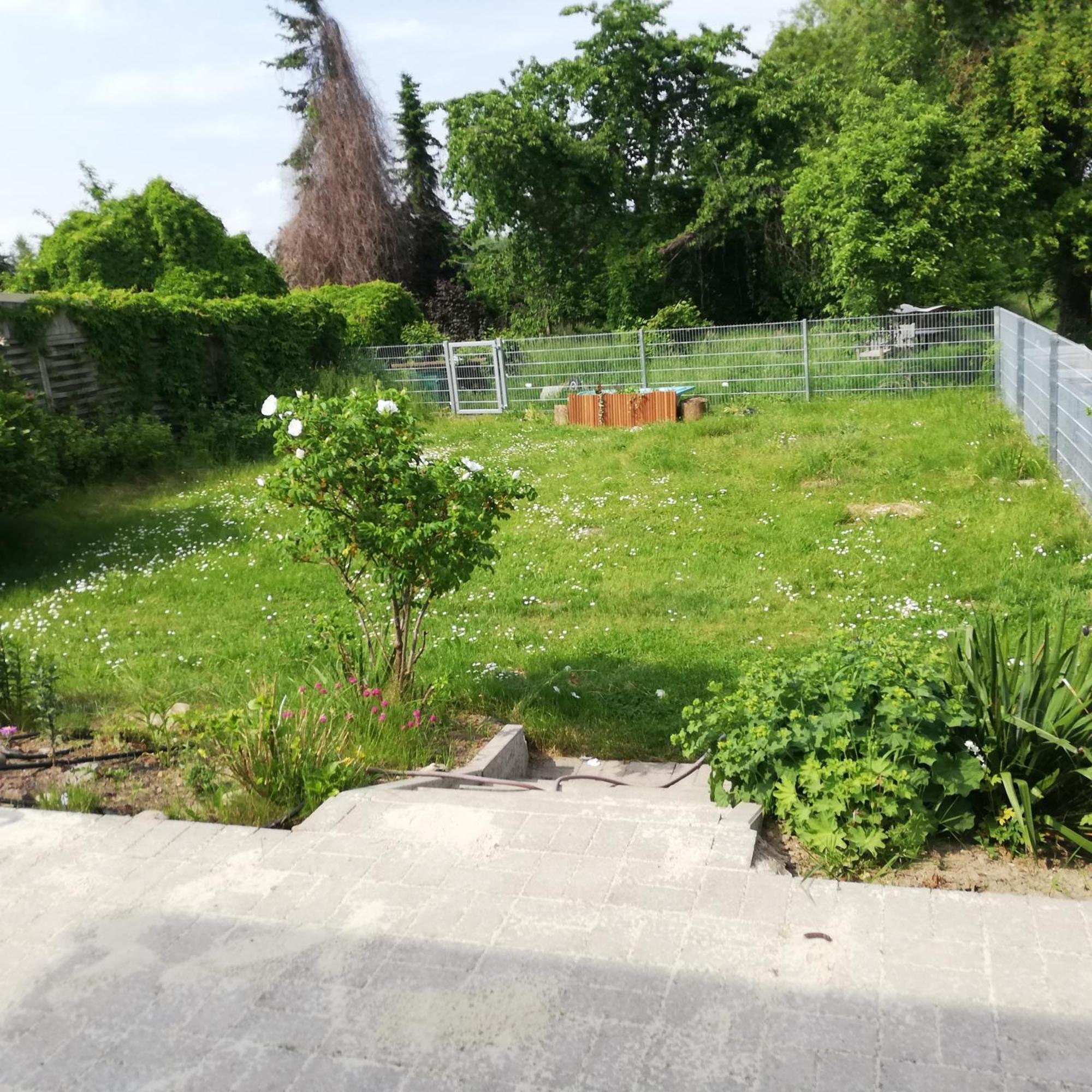 Ferienwohnung Wittenburg Exteriör bild