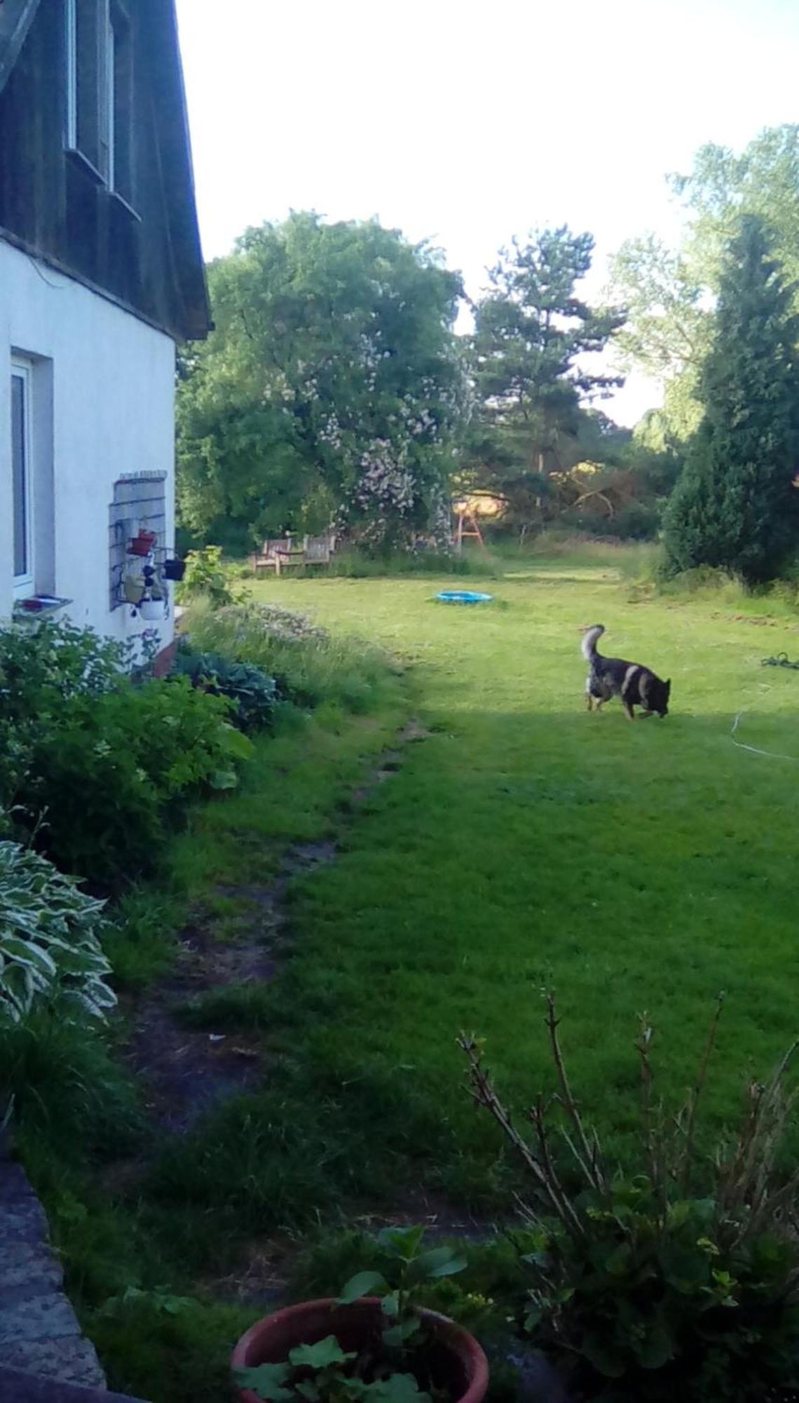 Ferienwohnung Wittenburg Exteriör bild