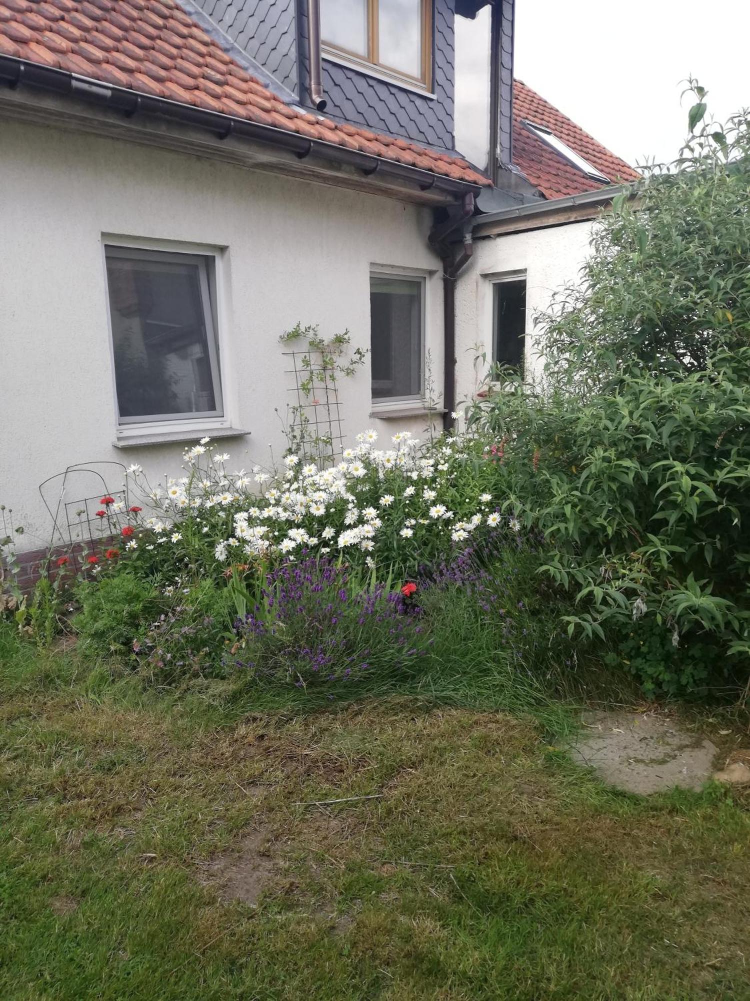 Ferienwohnung Wittenburg Exteriör bild