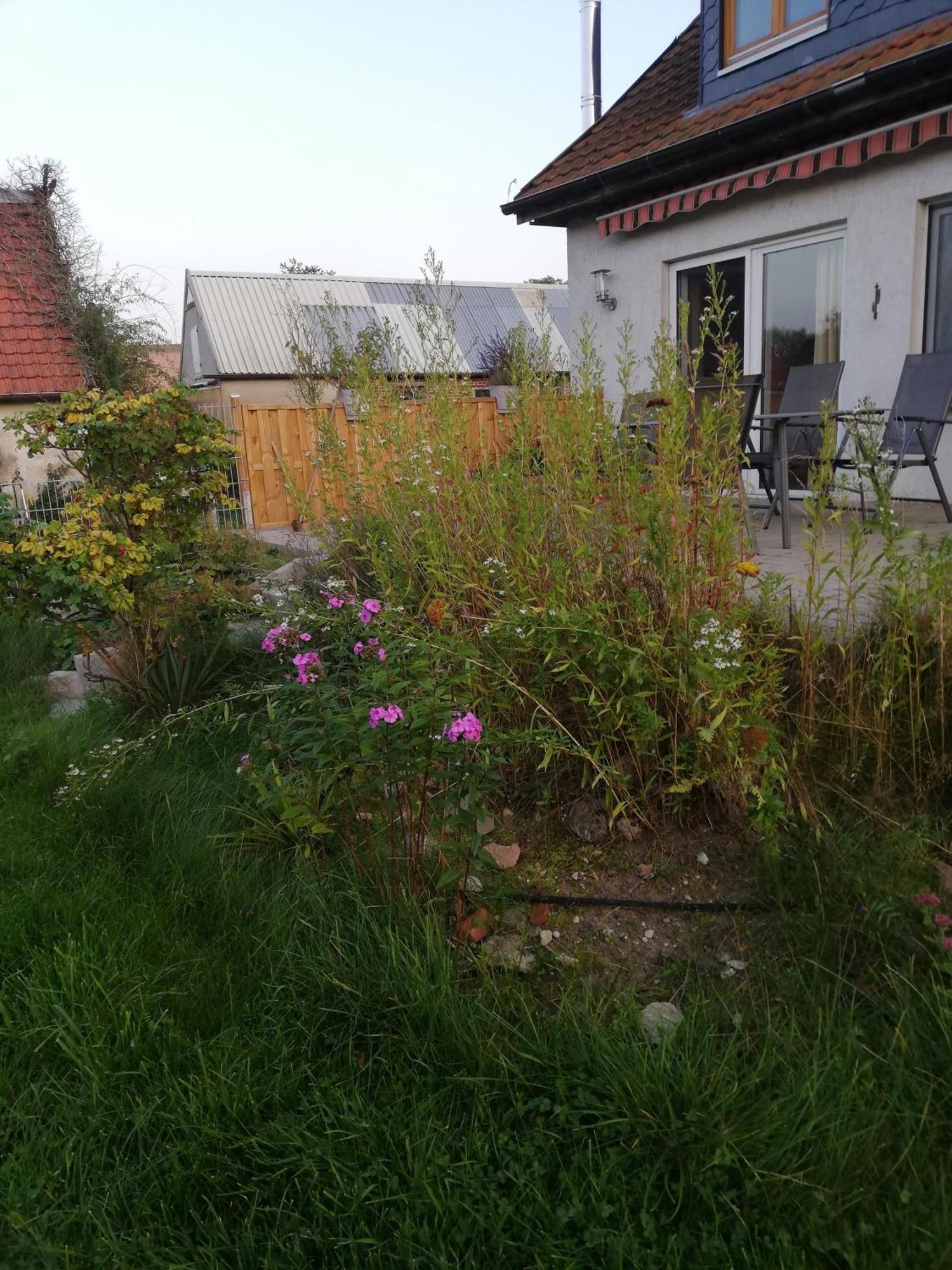 Ferienwohnung Wittenburg Exteriör bild