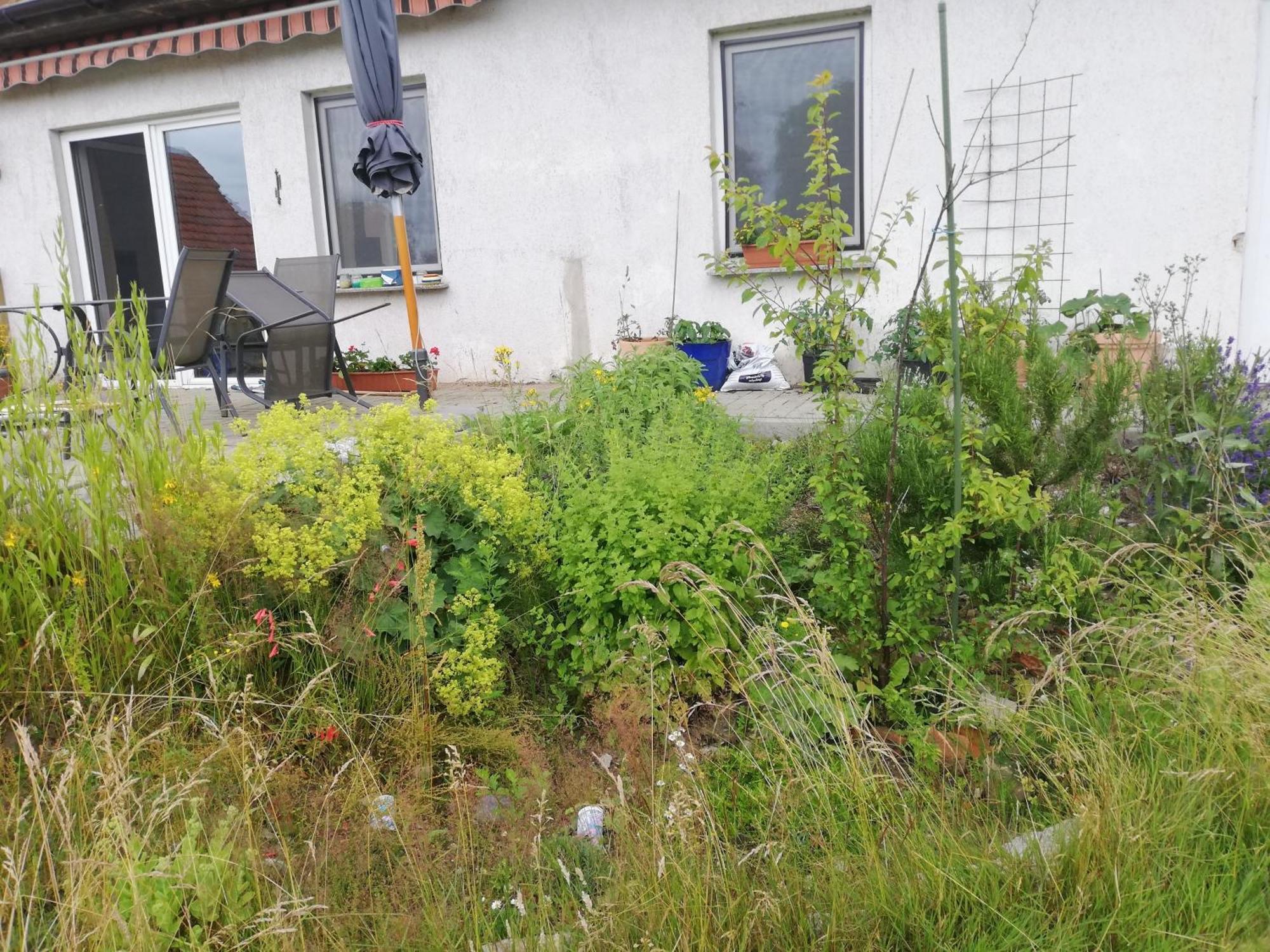 Ferienwohnung Wittenburg Exteriör bild